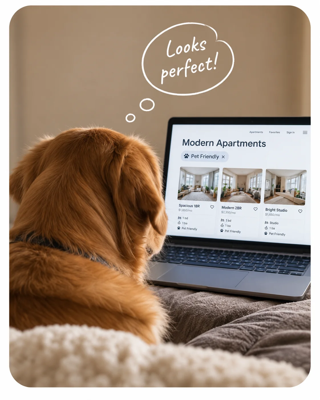 A golden retriever seen from behind, looking at a laptop screen showing an apartment listings page, with a “Looks perfect!” thought bubble above its head