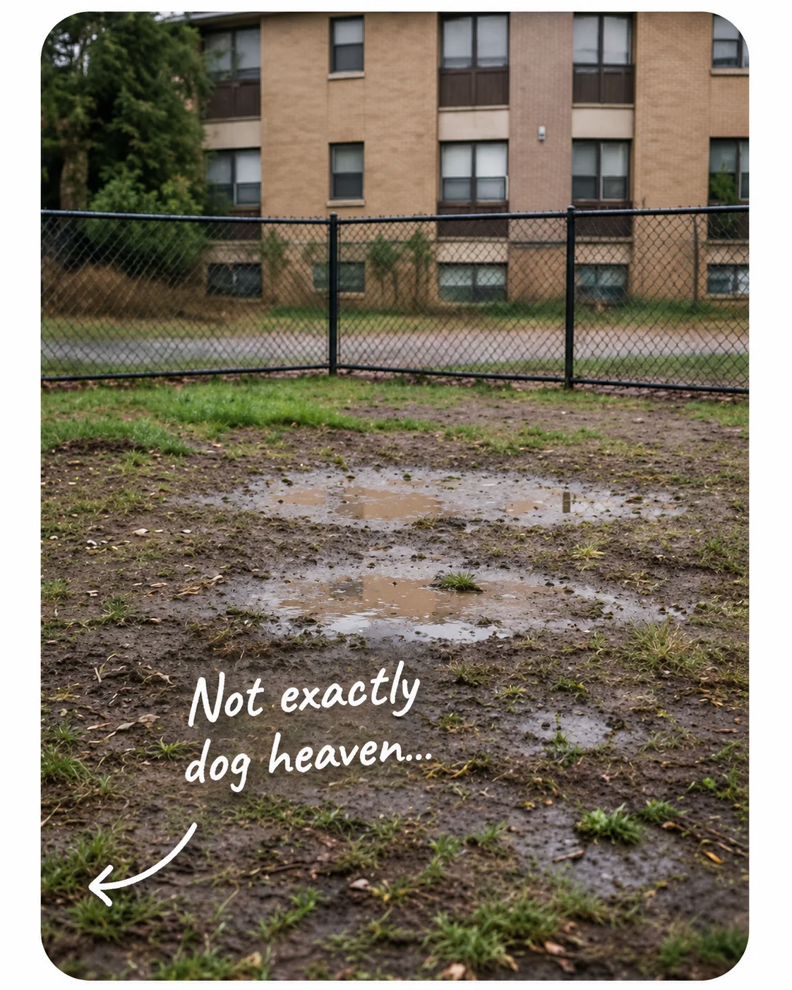 A muddy, puddle-covered dog run behind a chain-link fence with an apartment building behind it, annotated “Not exactly dog heaven…”